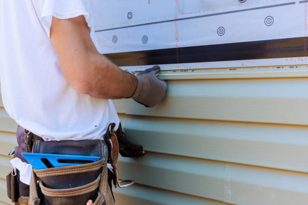 Best Stone Veneer Siding  in Lamont, MI